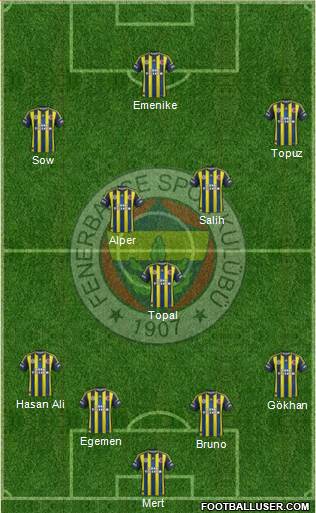 Fenerbahçe SK Formation 2013