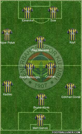 Fenerbahçe SK Formation 2013