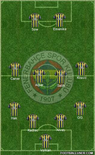 Fenerbahçe SK Formation 2013