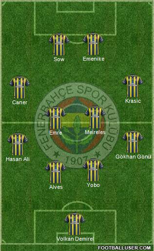 Fenerbahçe SK Formation 2013