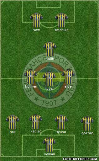 Fenerbahçe SK Formation 2013