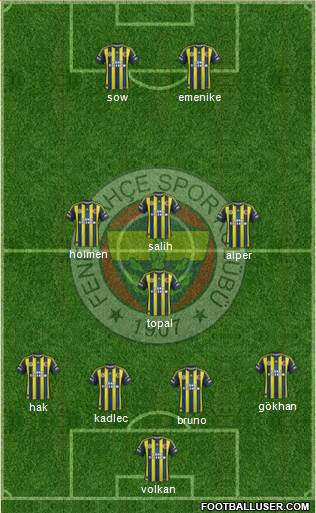 Fenerbahçe SK Formation 2013