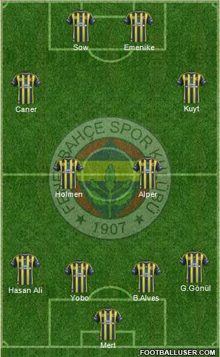 Fenerbahçe SK Formation 2013