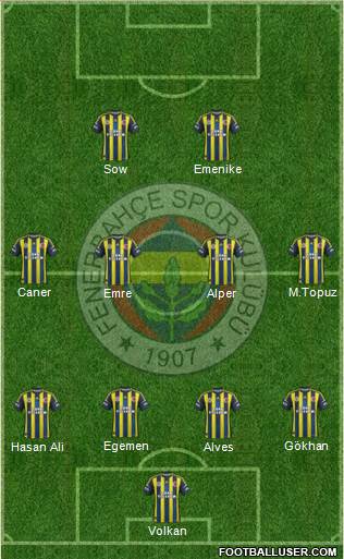 Fenerbahçe SK Formation 2013