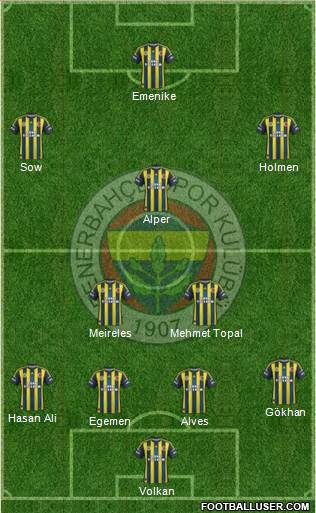 Fenerbahçe SK Formation 2013