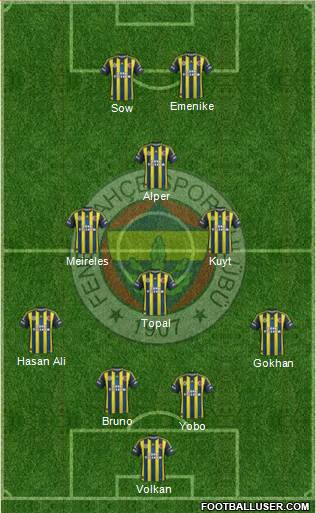 Fenerbahçe SK Formation 2013