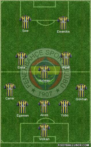 Fenerbahçe SK Formation 2013