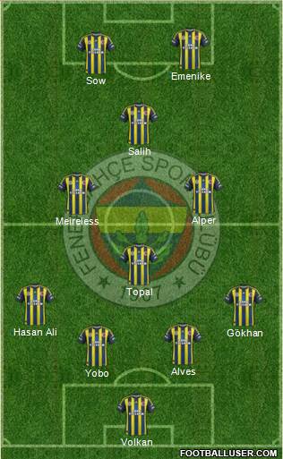 Fenerbahçe SK Formation 2013