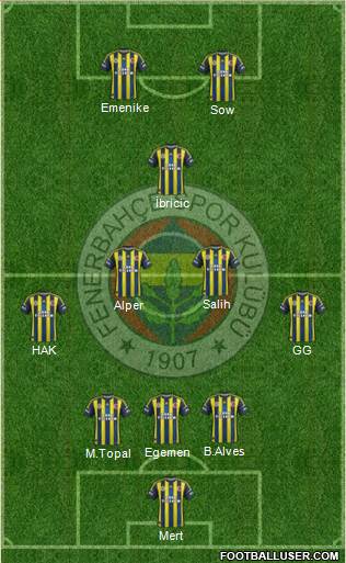 Fenerbahçe SK Formation 2013