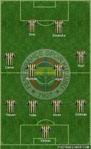 Fenerbahçe SK Formation 2013