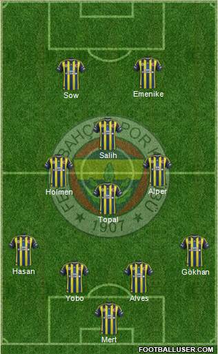 Fenerbahçe SK Formation 2013