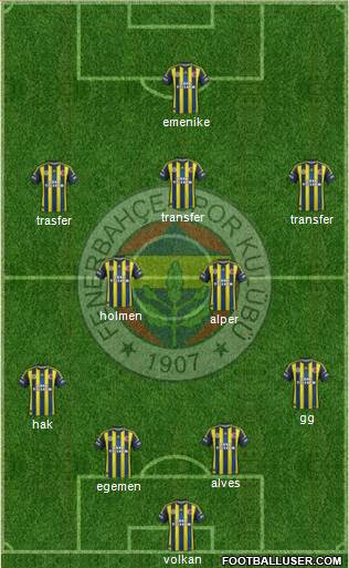 Fenerbahçe SK Formation 2013