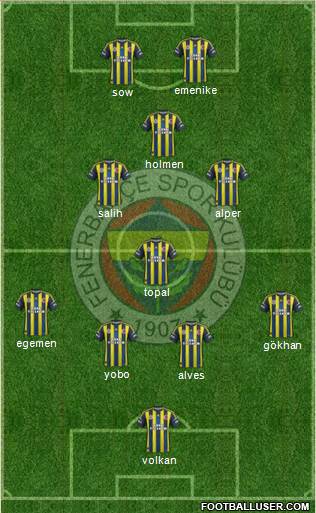 Fenerbahçe SK Formation 2013