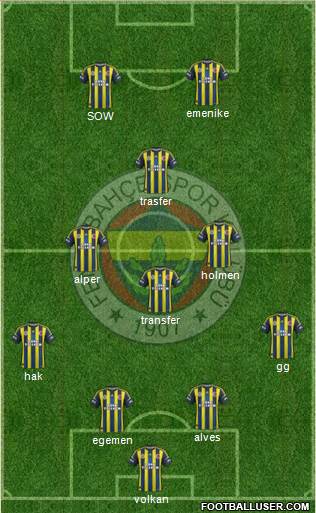 Fenerbahçe SK Formation 2013