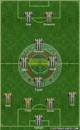 Fenerbahçe SK Formation 2013