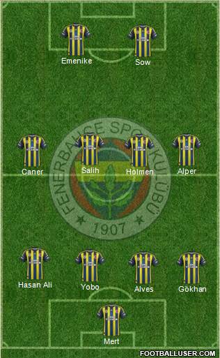 Fenerbahçe SK Formation 2013