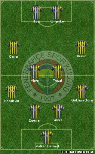 Fenerbahçe SK Formation 2013