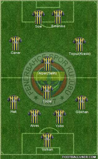 Fenerbahçe SK Formation 2013