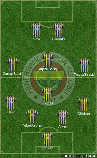 Fenerbahçe SK Formation 2013