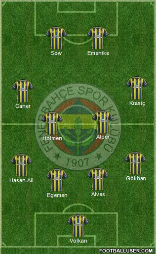 Fenerbahçe SK Formation 2013