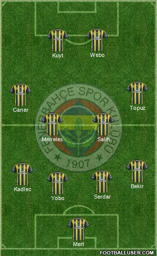 Fenerbahçe SK Formation 2013