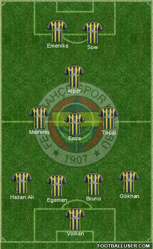 Fenerbahçe SK Formation 2013