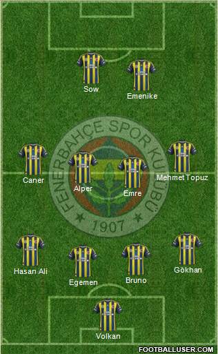 Fenerbahçe SK Formation 2013