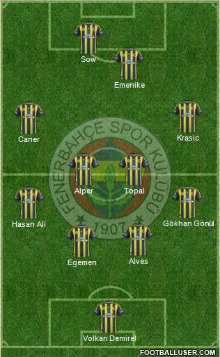 Fenerbahçe SK Formation 2013