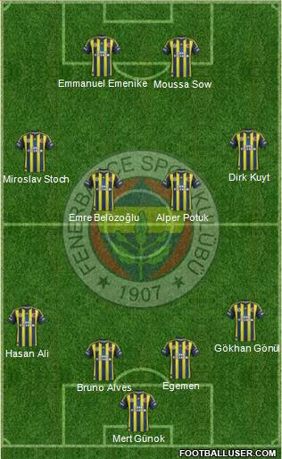 Fenerbahçe SK Formation 2013