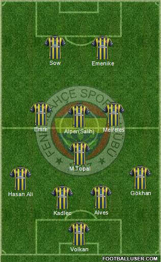 Fenerbahçe SK Formation 2013