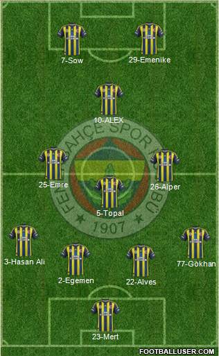 Fenerbahçe SK Formation 2013