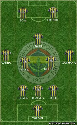 Fenerbahçe SK Formation 2013