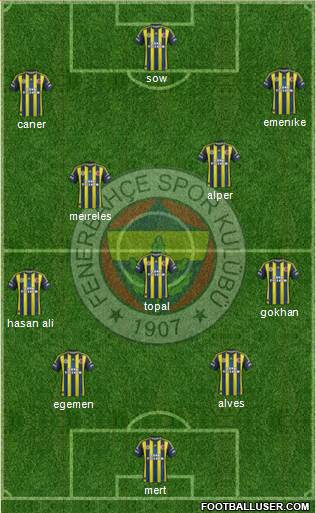 Fenerbahçe SK Formation 2013