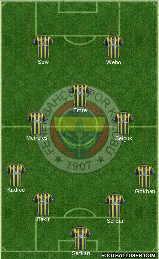 Fenerbahçe SK Formation 2013