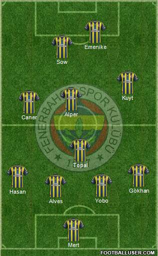 Fenerbahçe SK Formation 2013