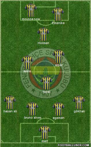 Fenerbahçe SK Formation 2013