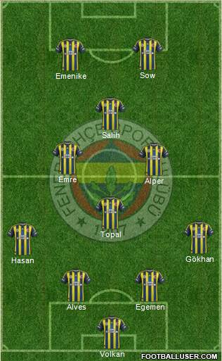 Fenerbahçe SK Formation 2013