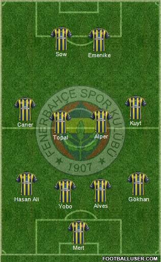 Fenerbahçe SK Formation 2013