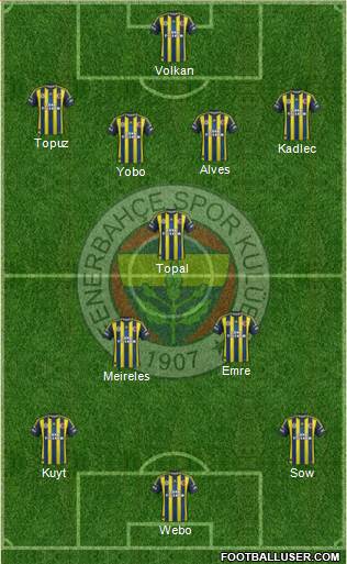 Fenerbahçe SK Formation 2013