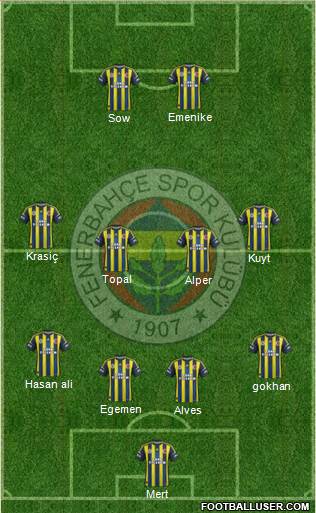 Fenerbahçe SK Formation 2013