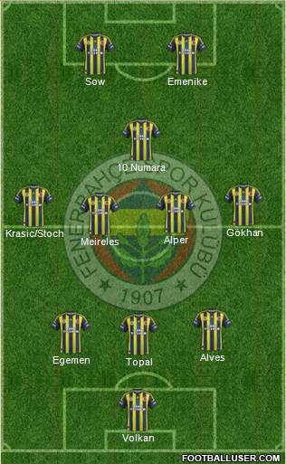 Fenerbahçe SK Formation 2013