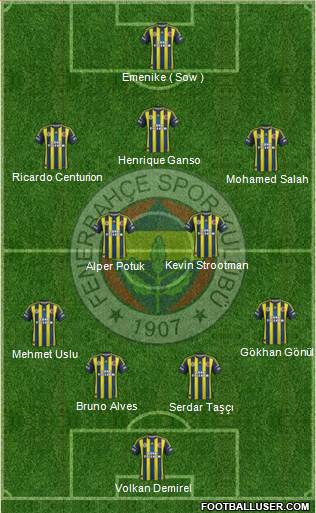 Fenerbahçe SK Formation 2013