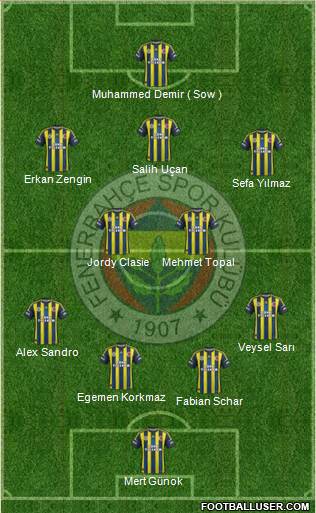 Fenerbahçe SK Formation 2013