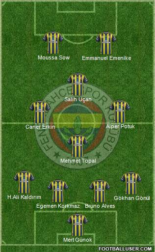 Fenerbahçe SK Formation 2013