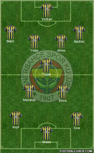 Fenerbahçe SK Formation 2013