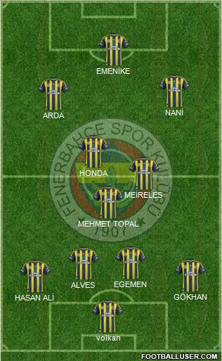 Fenerbahçe SK Formation 2013