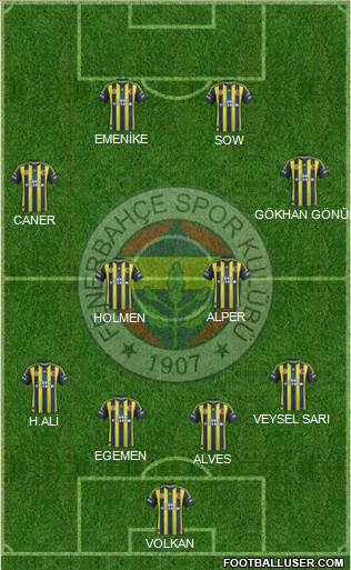 Fenerbahçe SK Formation 2013