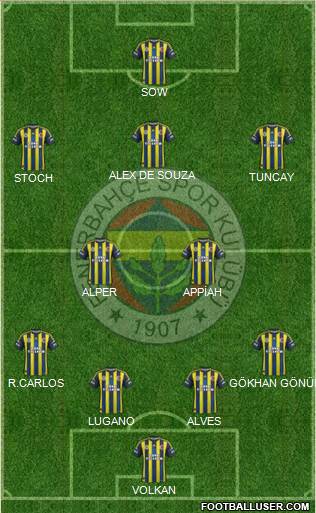 Fenerbahçe SK Formation 2013