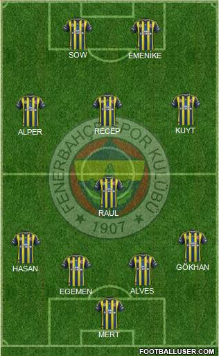 Fenerbahçe SK Formation 2013