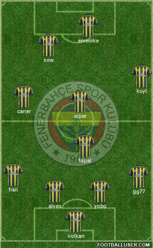 Fenerbahçe SK Formation 2013